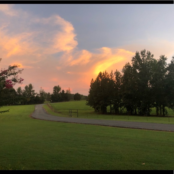 Meet your Posher, Brianna - Picture 1 of 1